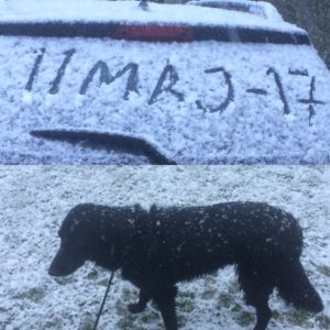 Snöstorm i maj