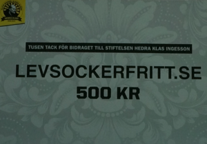 Årsdagen för fysisk aktivitet