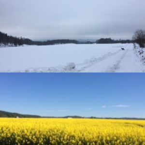 Sommaren är närmare än vi tror